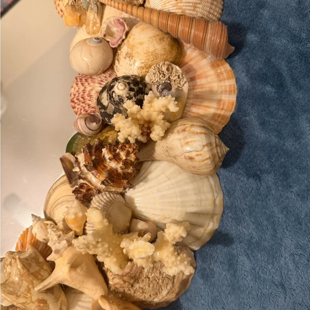 Large round seashell mirror. Natural seashells, crab, sea star, lobster 28” diam